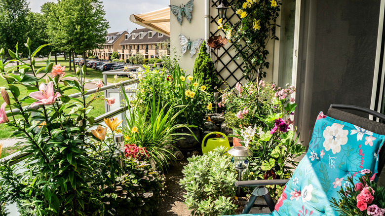 Lush greenery and colorful flowers growing on a balcony