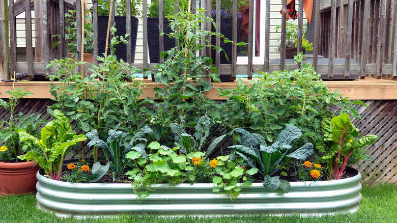 Vegetables and flowers growing in a container