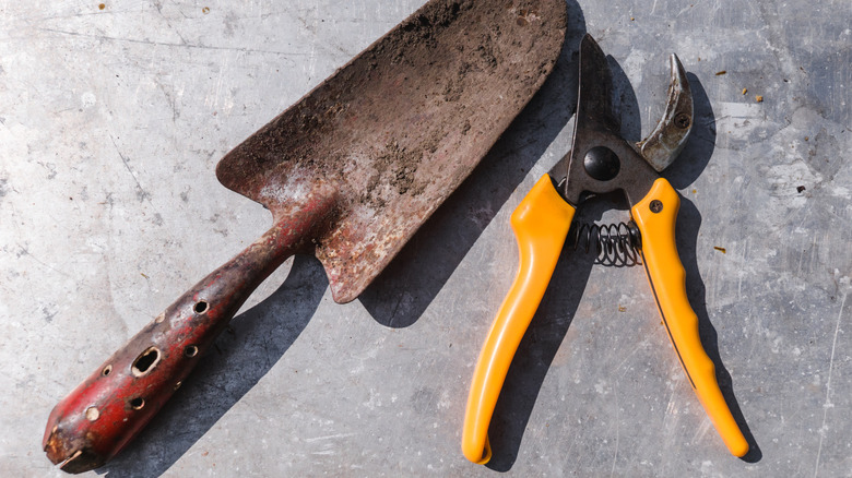 A hand trowel and a pair of hand shears