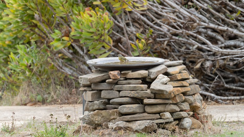 finch in a birdbath that has stacked stones as a base