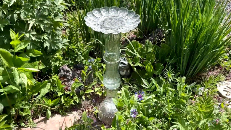 A beautiful DIY birdbath in a garden made of thrifted glass bowls and vases