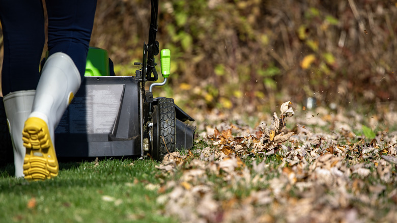 Mowing over leaves with push mower