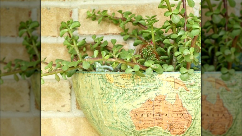 Half-globe planter on the brick wall of a house