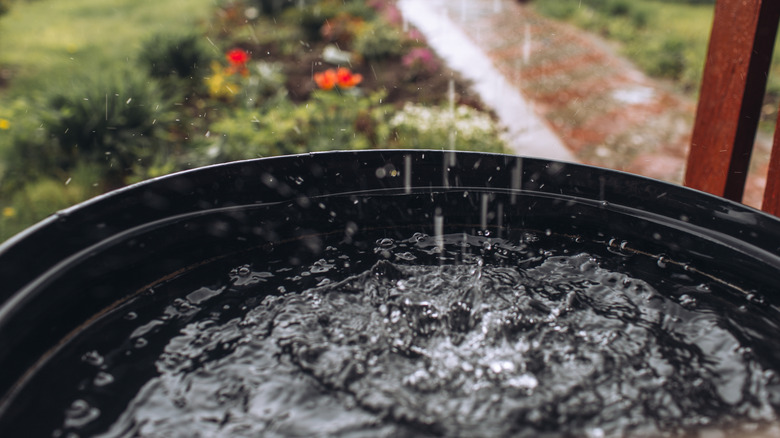 Rain entering a rain barrel