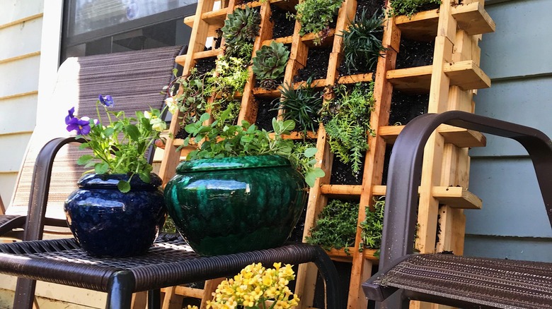 wine rack converted into an outside planter