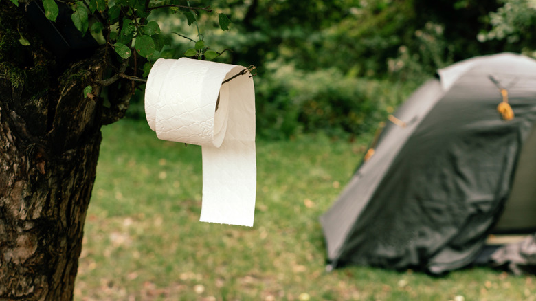 Roll of toilet paper on tree limb near tent