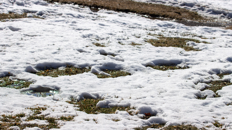 Snow melting in a yard