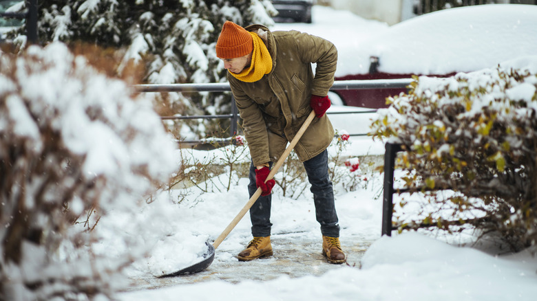 A homeowner shovels snow off their front walkway