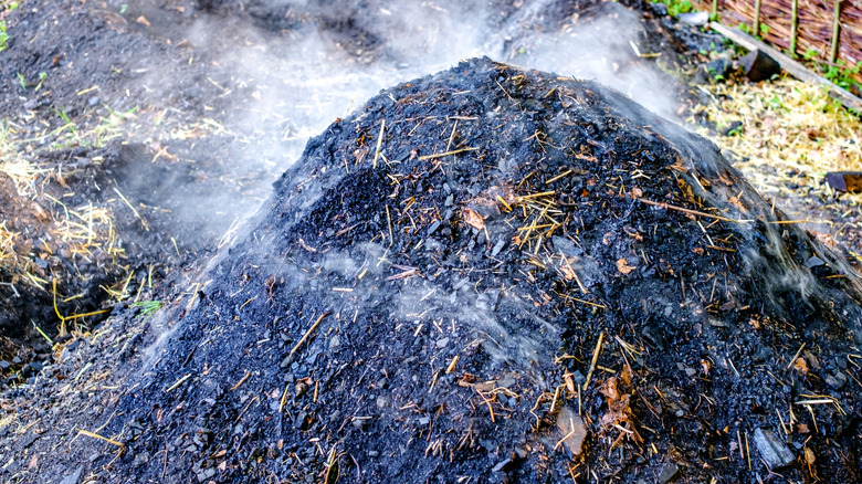 Hot, steaming compost pile