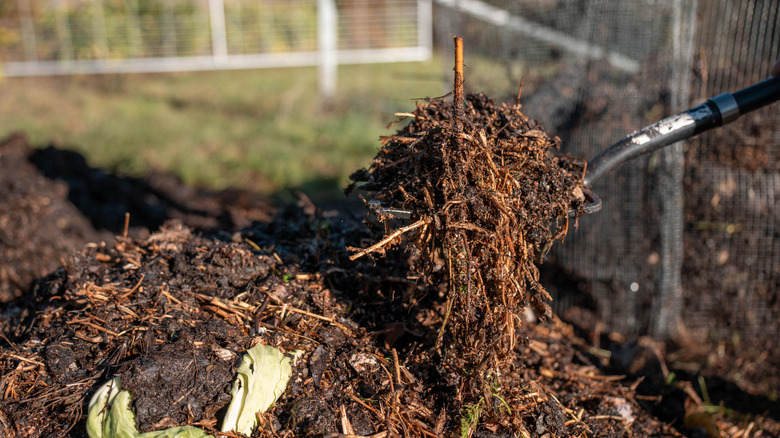 Organic compost pile