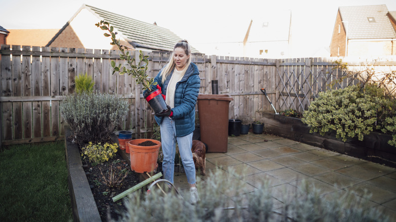 Woman inspecting potted plants on patio