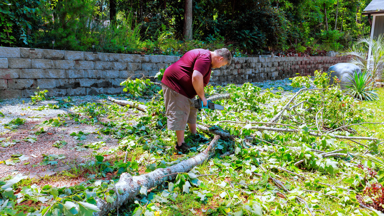 Man with a chainsaw cutting fallen tree branches