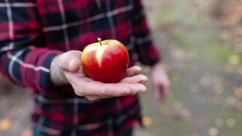 Closeup of a man's hand offering a red apple
