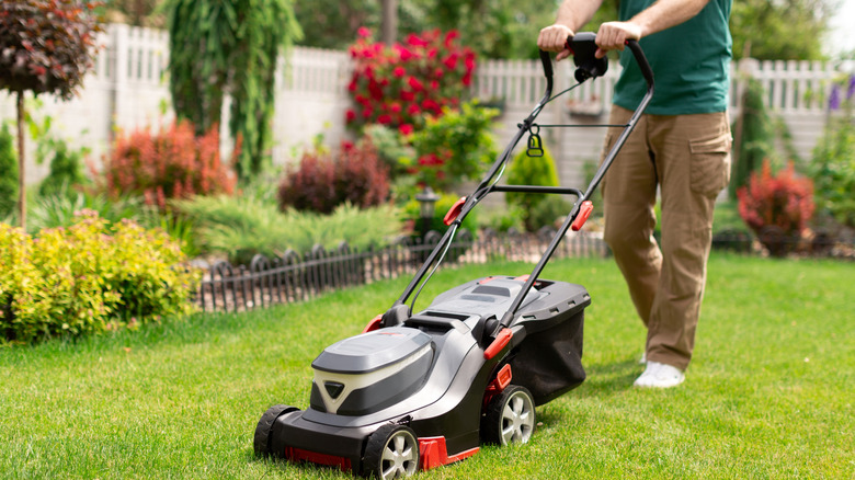 Person mowing a small back yard with no trees