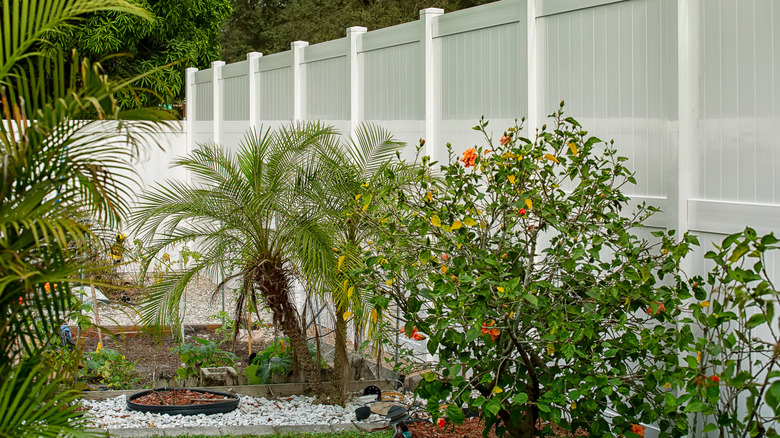Beautiful drought tolerant garden by vinyl fence