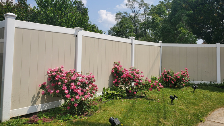 Flower shrubs by vinyl fence