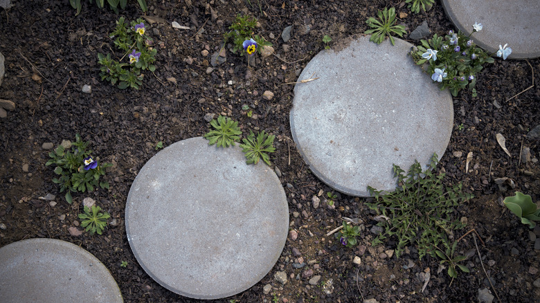 Circular paver stones in dirt covered by weeds
