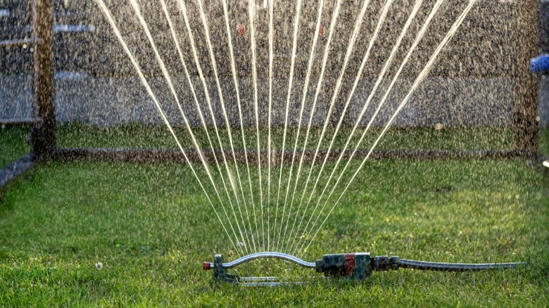 Aboveground sprinkler head in use