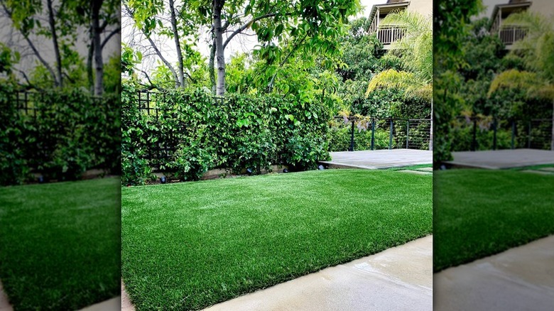 PreGra 80z platinum artificial grass