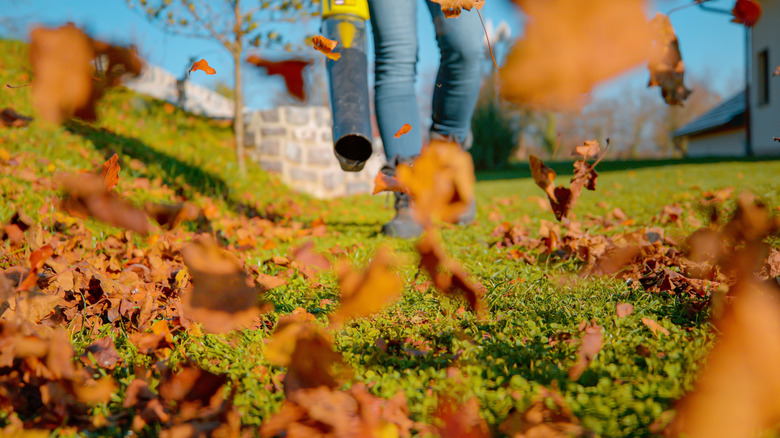 Person using leaf blower in fall
