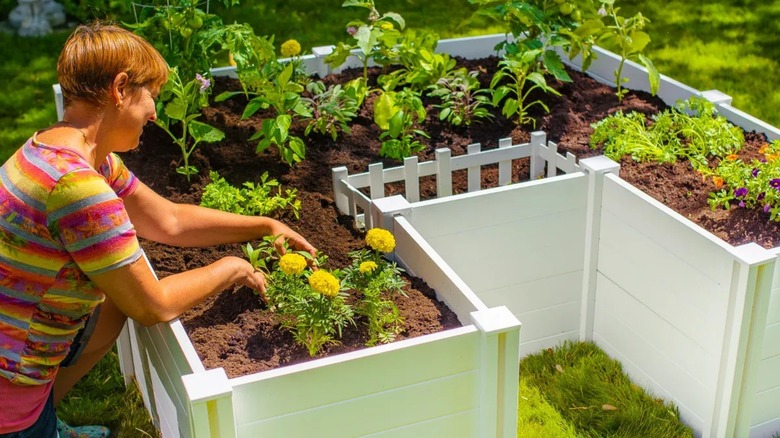 Vita keyhole composting garden bed