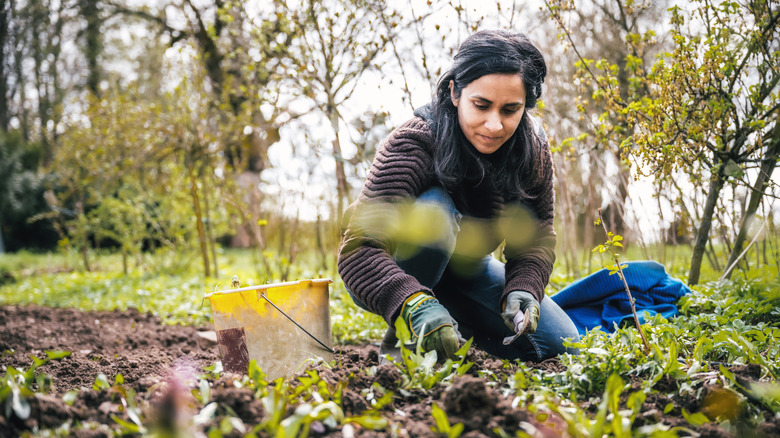woman gardening outside