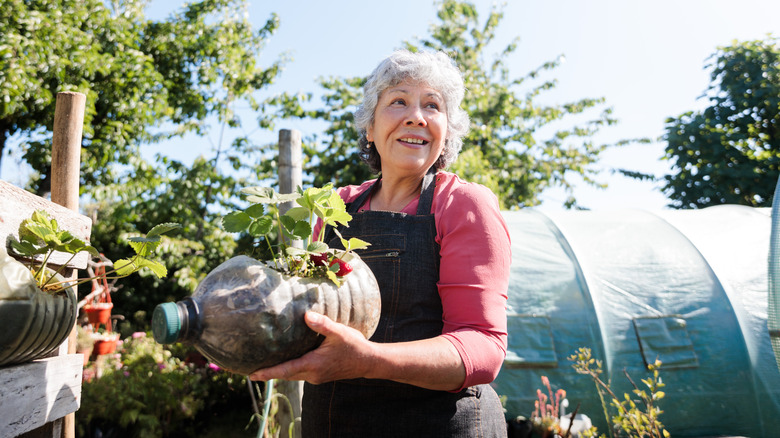 woman gardening with greenhouse in background