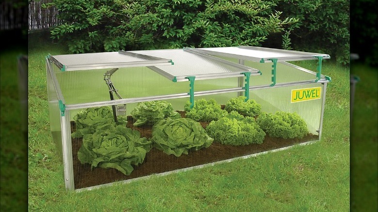 Juwel mini greenhouse