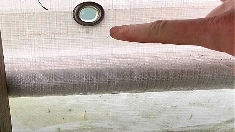 Unusual grommet placement anomaly on Harbor Freight 6-by-6 greenhouse