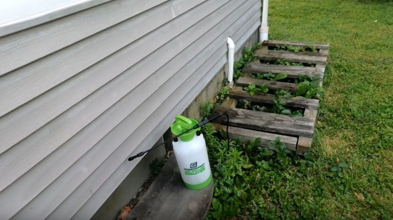 Greenwood 1.25 gallon weed sprayer sitting next to a home