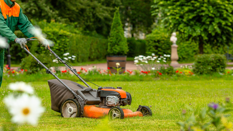 Person mowing with a walk behind mower
