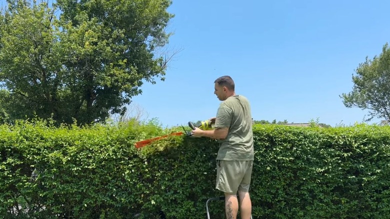 Man in gray green t shirt and shorts trimming hedges with a Ryobi Cordless Hedge Trimmer