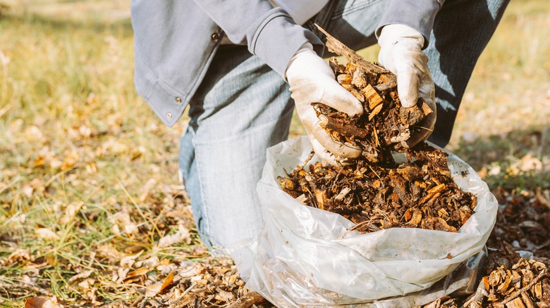 Bag full of wood mulch