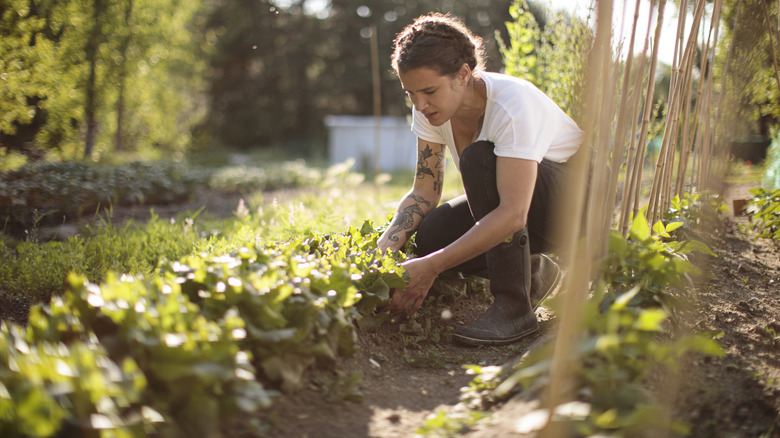woman kneeling in garden