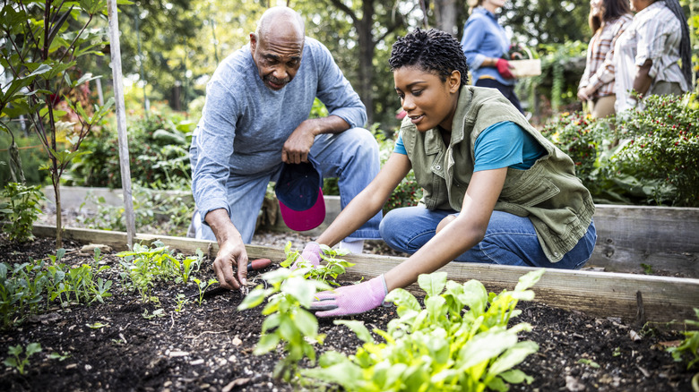 family gardening