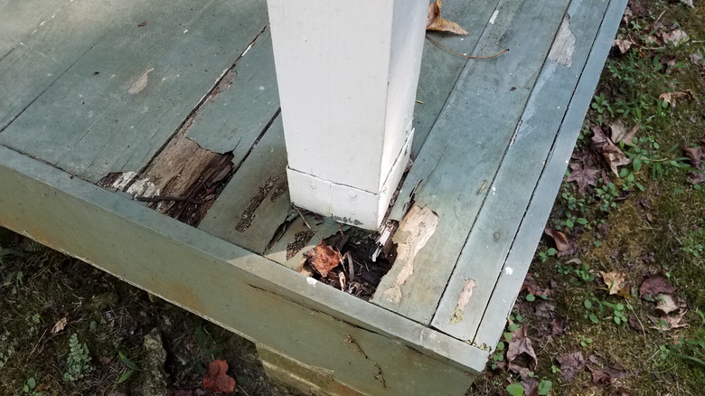 Broken down, rotting wooden decking