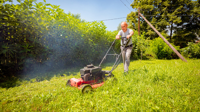 A lawn mower puffs plumes of white smoke as it cuts through tall grass