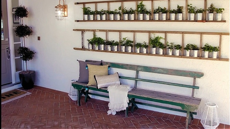 Plant shelves made from old ladders by HGTV's Jasmine Roth