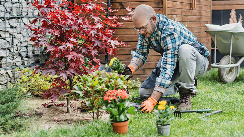 Man working in a garden
