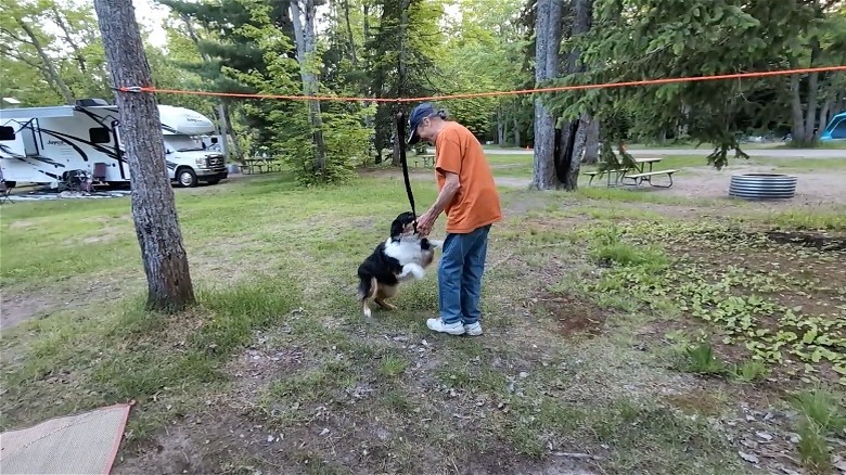 A dog on a DIY tether