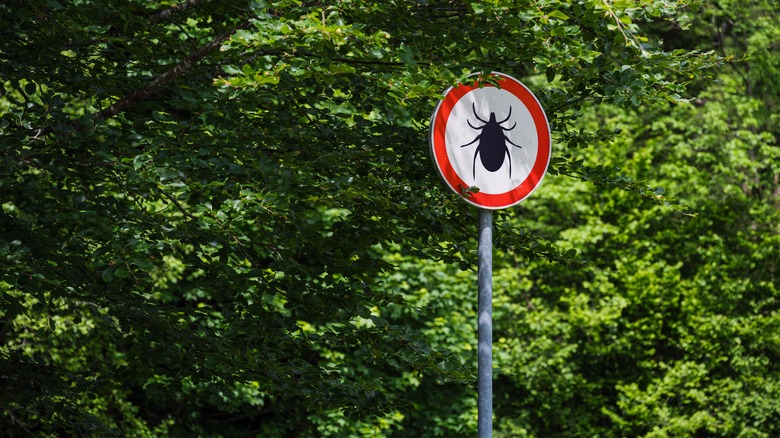 sign warning that ticks can be found in the area