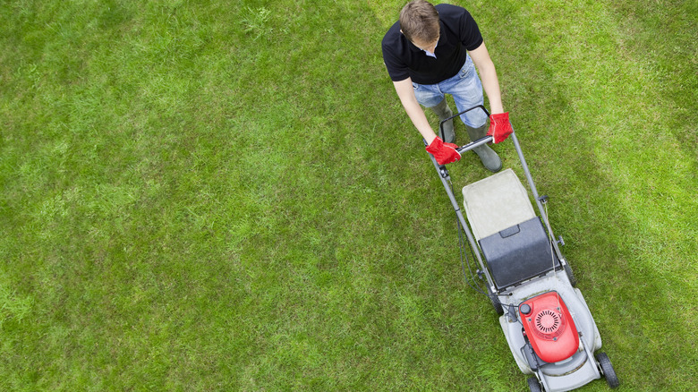 Man mowing his lawn