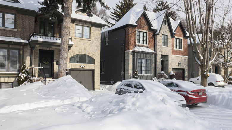 winter scene with snow-covered yard and a cleared driveway