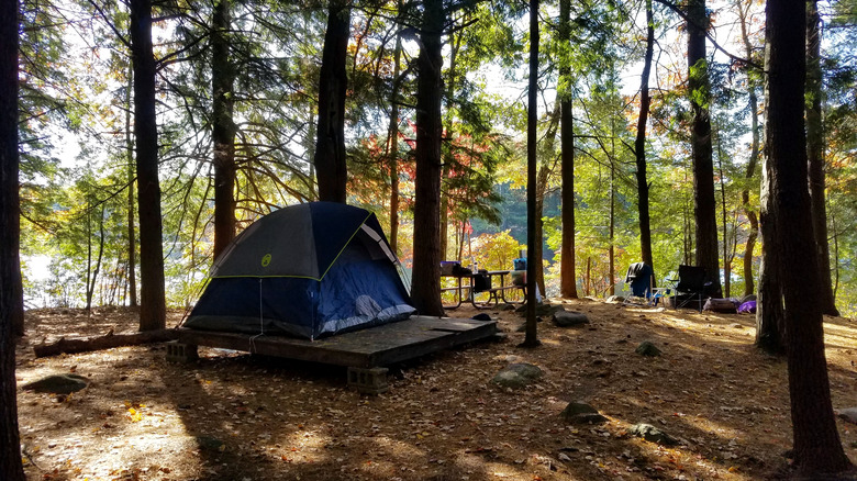 a tent in the New Hampshire woods during the fall