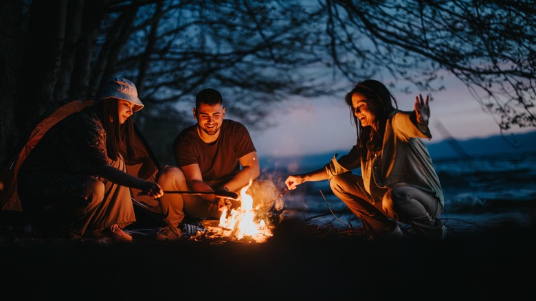 young campers sit around a campfire in the woods