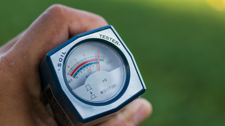 hand that's holding a soil tester for ph and moisture -- pointing toward dry
