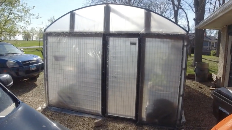 Dog kennel repurposed into greenhouse