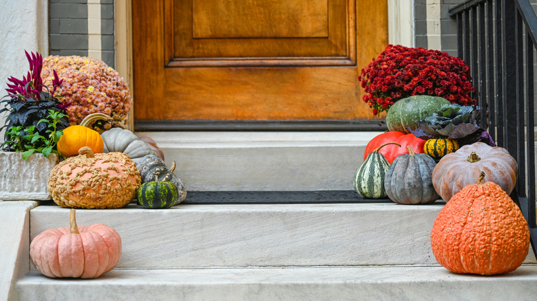 Different types of pumpkins on a front porch