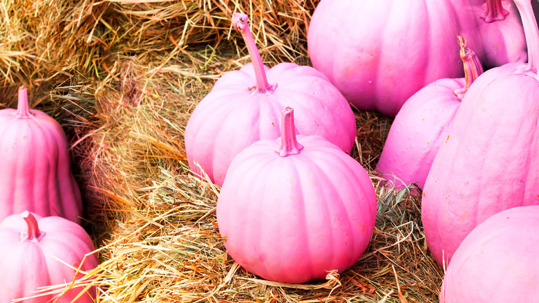 Pink pumpkins for Breast Cancer Awareness Month