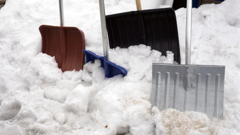 assorted snow shovels sticking out of snow